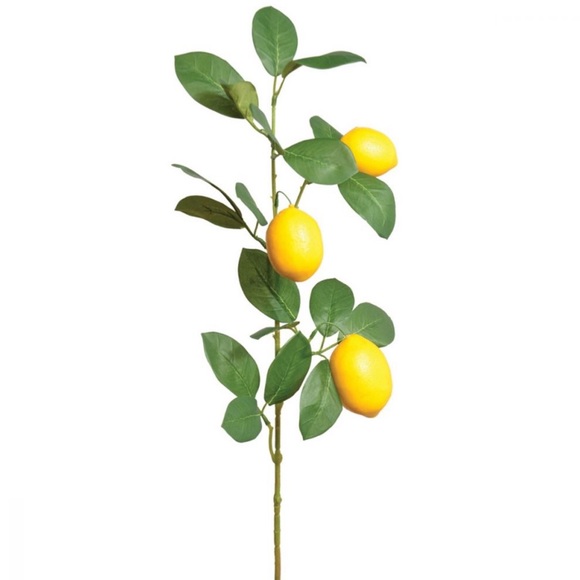 LEMON SPRAY 30in - Picture 2 of 2